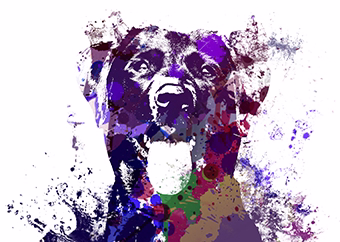 Hund in leuchtendem Pop-Art-Stil mit bunten Farbspritzern auf weißem Hintergrund