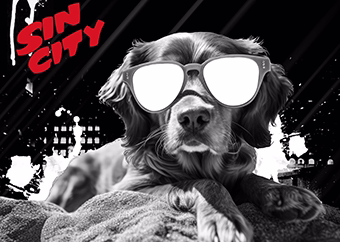 Hund mit Sonnenbrille im Sin City Pop-Art-Stil schwarz-weiß