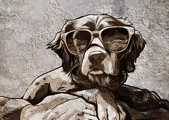 Cooler Hund mit Sonnenbrille im Banksy Pop-Art Stil auf Steingrund