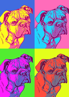 Bulldogge Porträt als vierfarbiges Pop-Art-Kunstwerk im Andy-Warhol-Stil