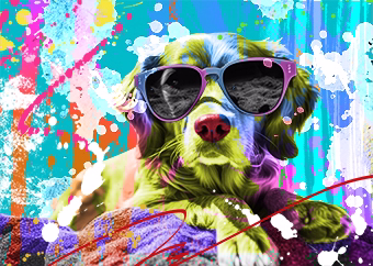 Cooler Hund mit Sonnenbrille im bunten Pop-Art-Stil mit Farbspritzern