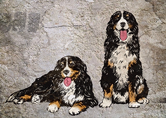 Zwei Berner Sennenhunde im Banksy-Graffiti-Stil auf Steinwand