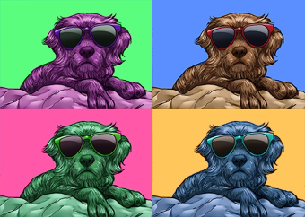Pop-Art-Collage: flauschiger Hund mit Sonnenbrille in vier bunten Farben