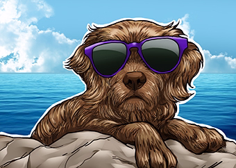 Pop-Art Hund mit lila Sonnenbrille entspannt am Meer auf Felsen