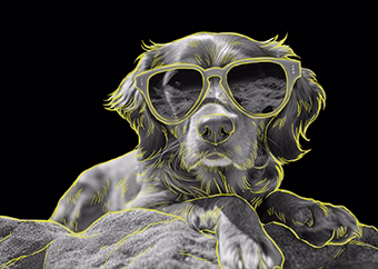 Cooler Hund mit Sonnenbrille im Pop-Art-Stil auf schwarzem Hintergrund