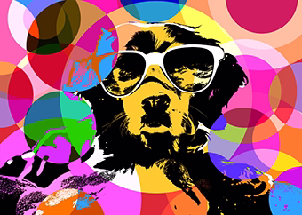 Pop-Art Hund mit Sonnenbrille vor buntem Kreise-Hintergrund in knalligen Farben
