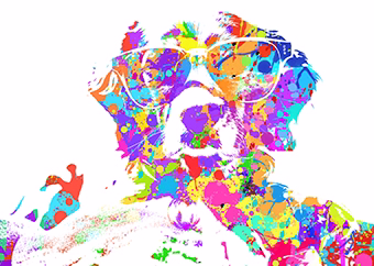 Pop-Art Hund mit Brille in bunten Farbspritzern auf weißem Hintergrund
